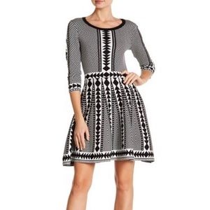 🌟2XHP!🌟Nina Leonard Geometric Sweater Dress